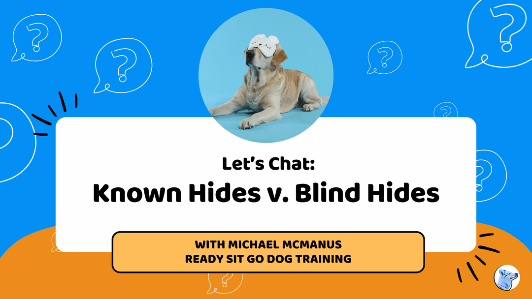 Let's Chat: Known Hides v Blind Hides