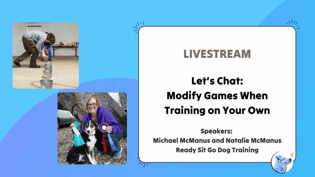 Let's Chat: Modifying Games When Training on Your Own