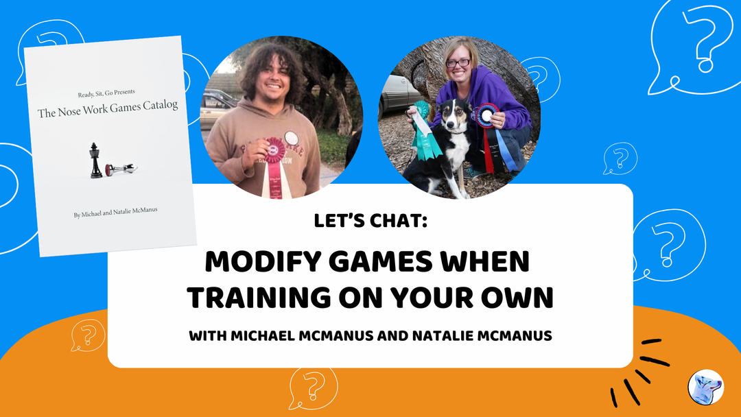 Let's Chat: Modifying Games When Training on Your Own