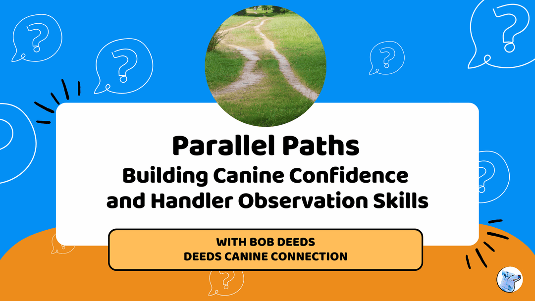Let's Chat: Parallel Paths: Building Canine Confidence and Handler Observation Skills