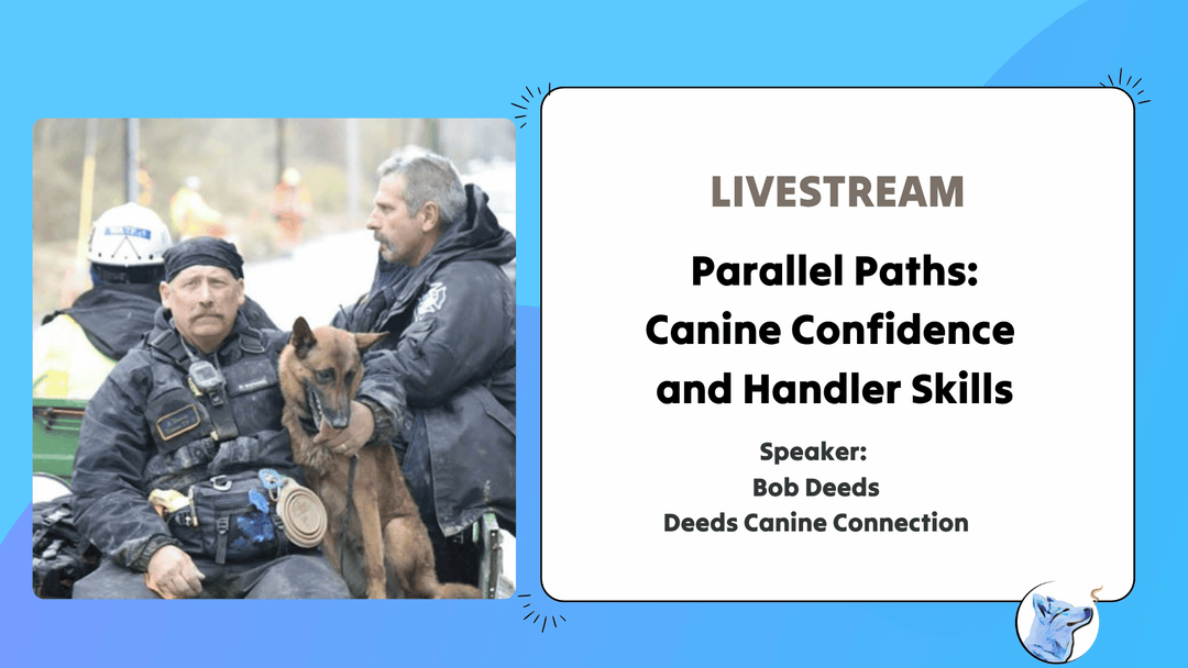 Let's Chat: Parallel Paths: Building Canine Confidence and Handler Observation Skills