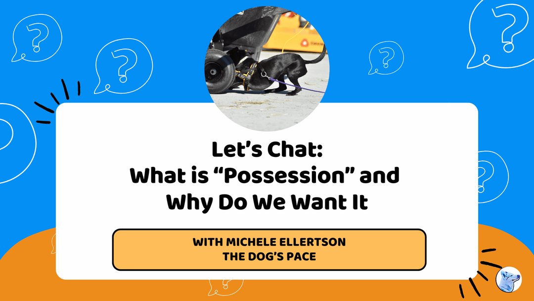 Let’s Chat: What is “Possession” and  Why Do We Want It