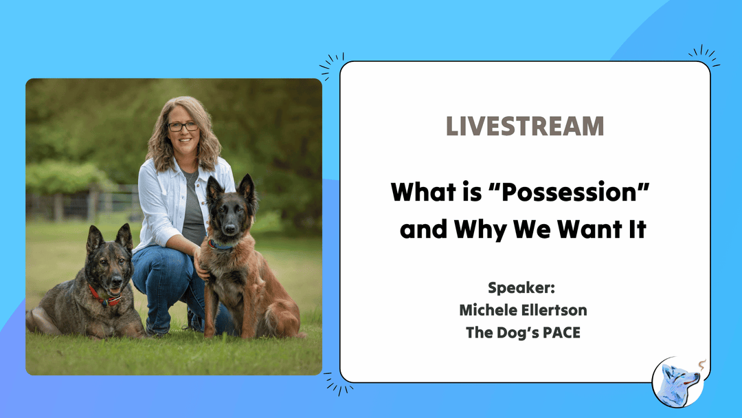 Let’s Chat: What is “Possession” and  Why Do We Want It
