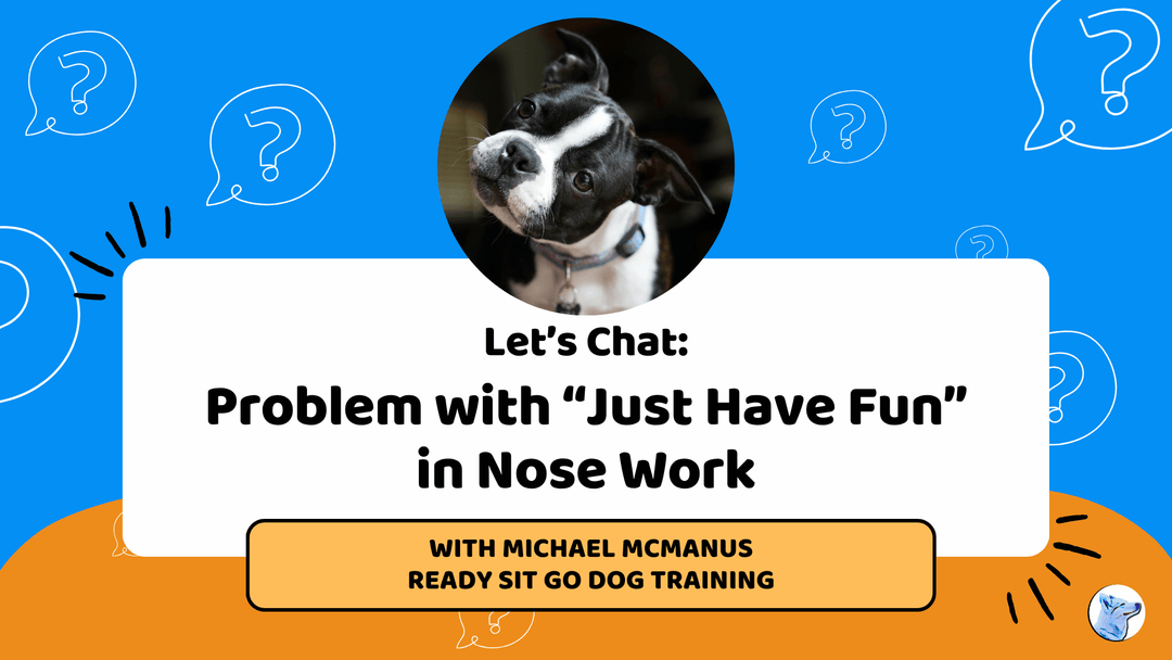 Let's Chat: Problem with "Just Have Fun" in Nose Work