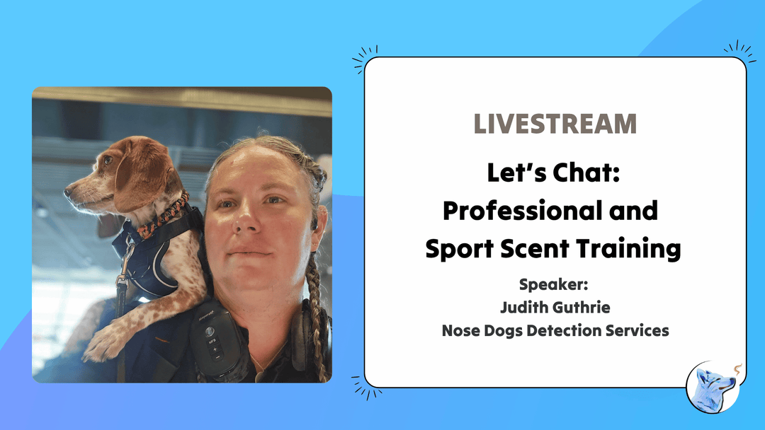Let's Chat: Professional and Scent Sport Training