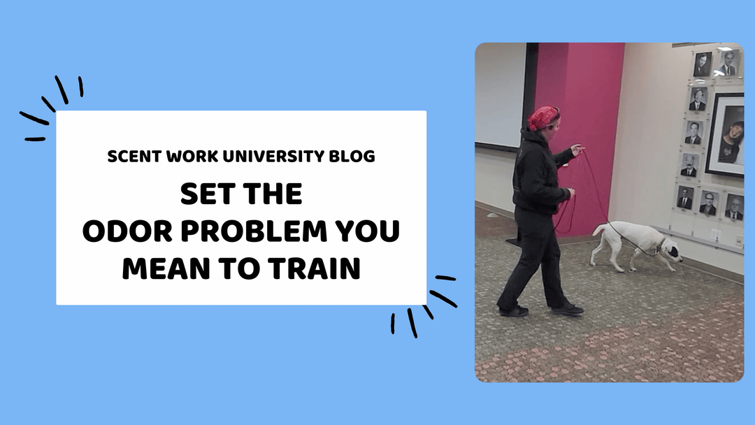Set the Odor Problem You Mean to Train