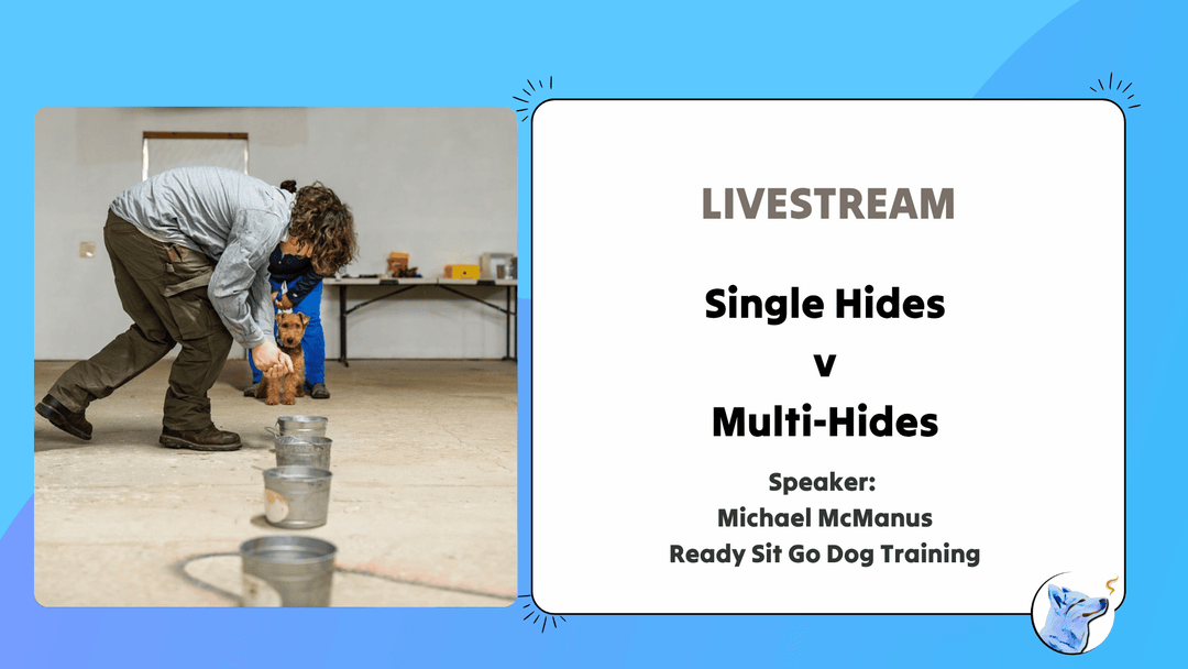 Let's Chat: Single Hides v Multiple Hides Livestream