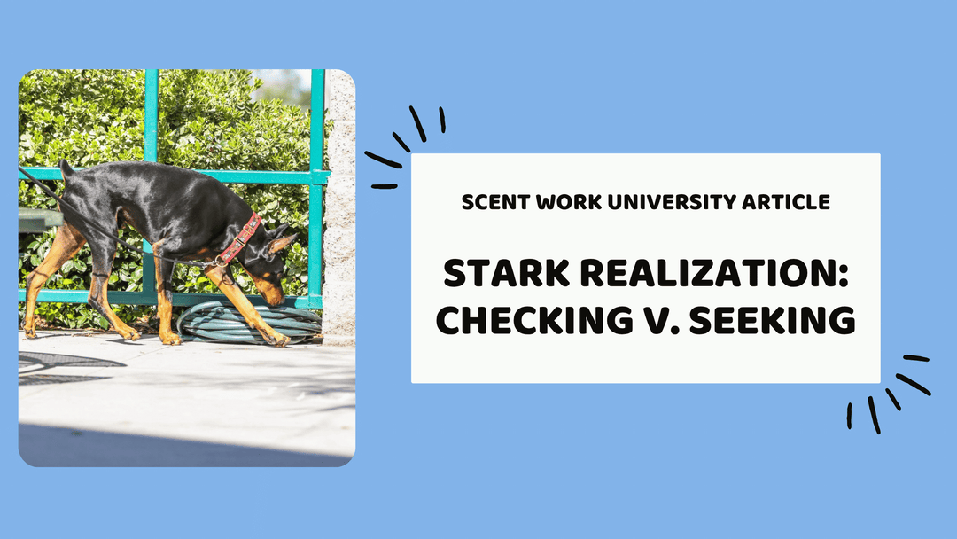 Stark Realization: Checking v. Seeking