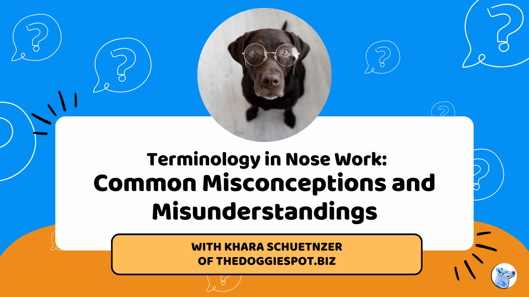 Terminology in Nose Work: Common Misconceptions and Misunderstandings Livestream