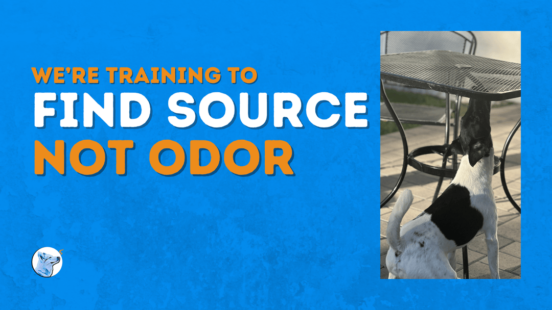 We're Training to Find Source, Not Odor