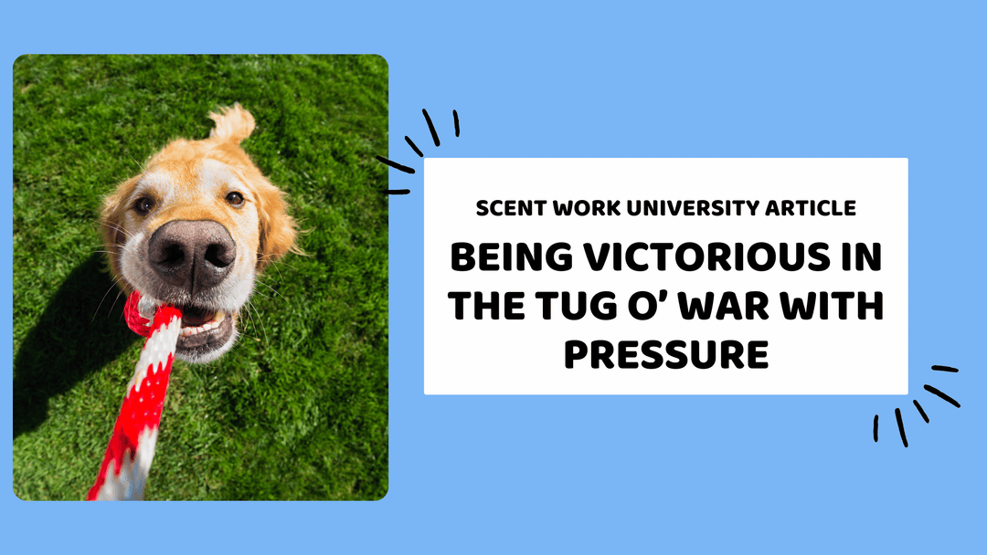 Being Victorious in the Tug O’ War with Pressure
