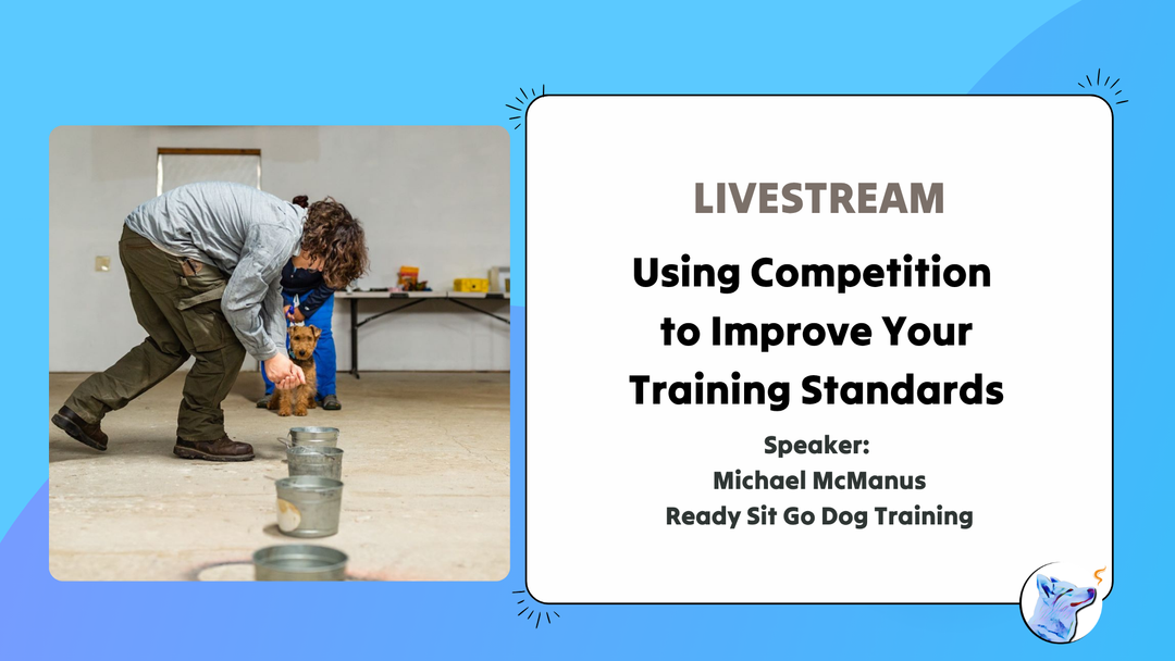Let's Chat: Using Competition to Improve Your Training Standards
