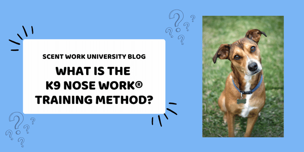 What is the K9 Nose Work® Training Method?
