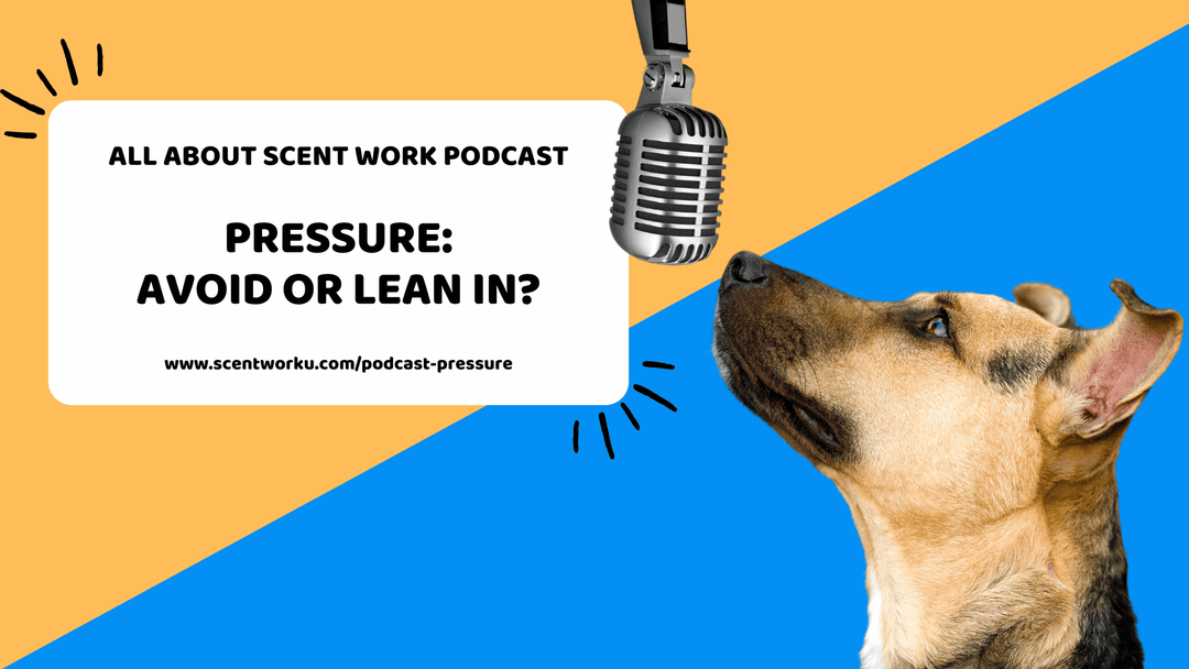 Ep. 144: Pressure - Avoid or Lean In?