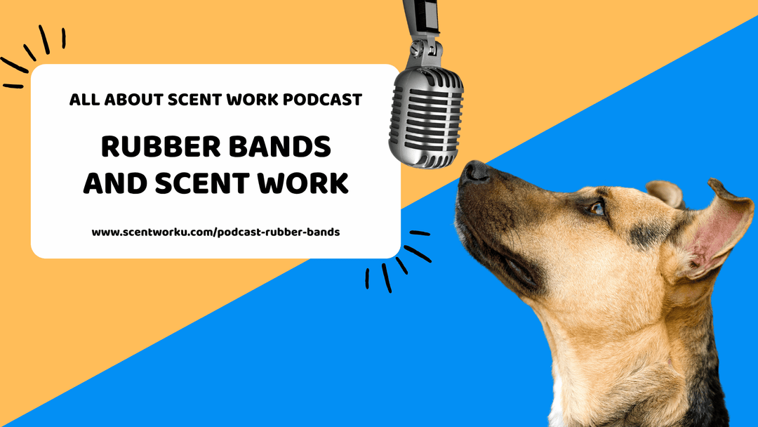 Ep. 148: Rubber Bands and Scent Work