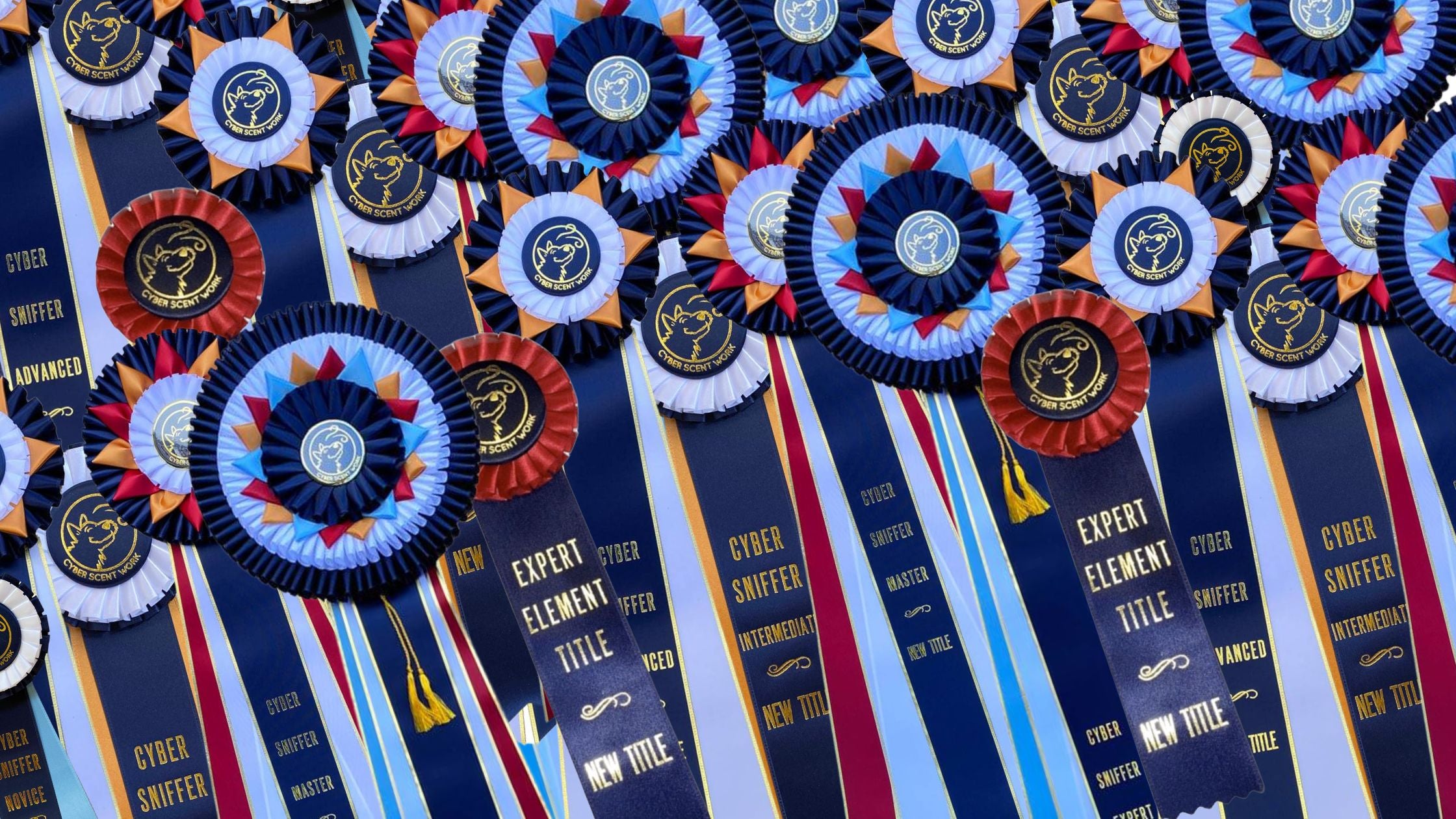 Cyber Scent Work Program – Scent Work University