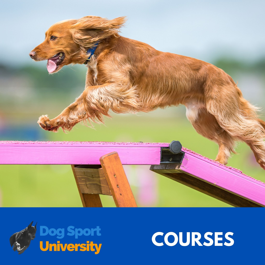 Dog Sport University Courses