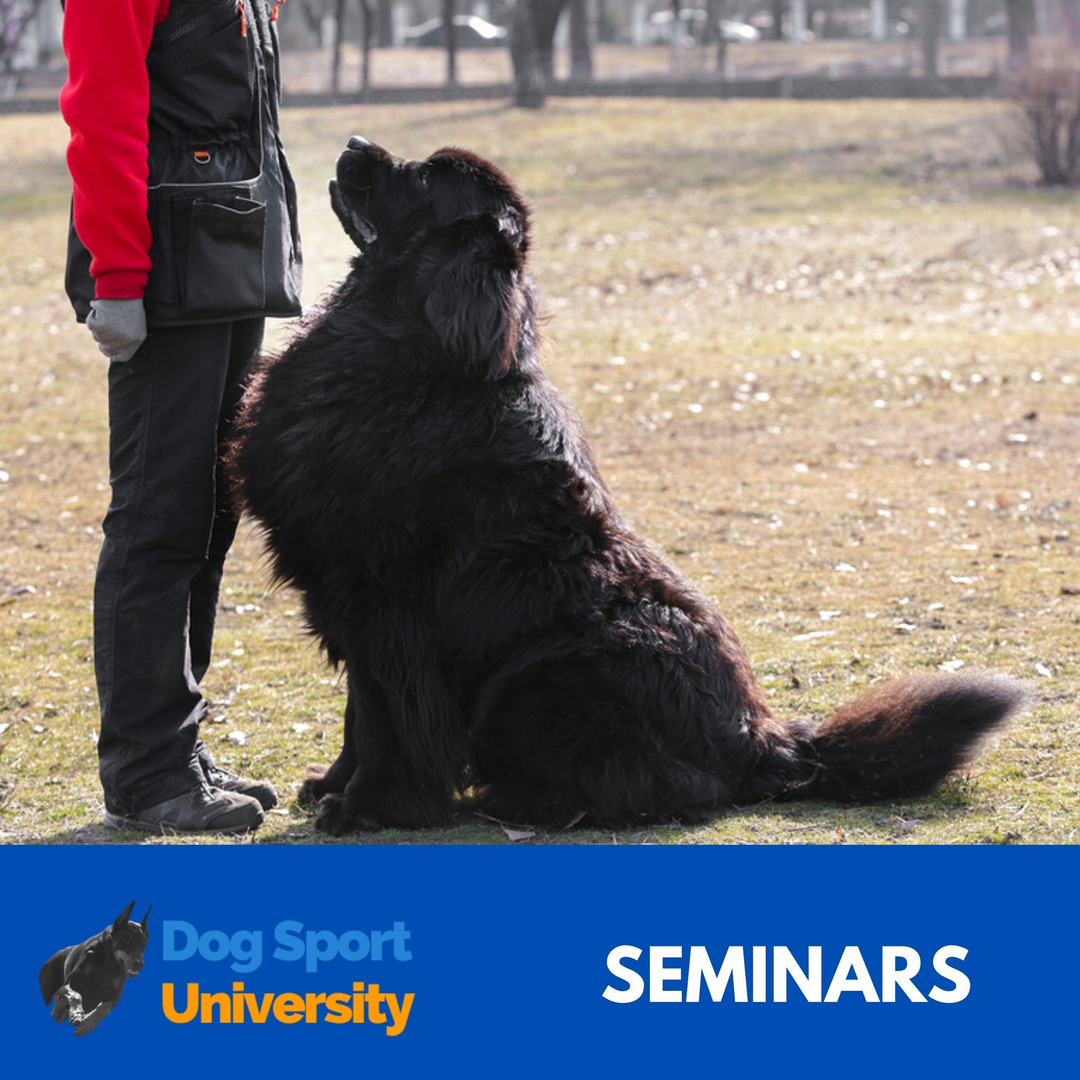 Dog Sport University Seminars