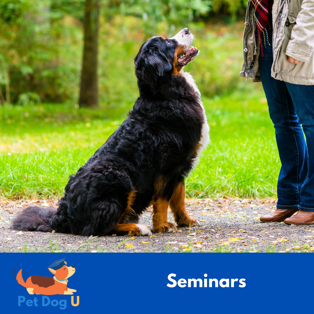 Family Dog University Seminars