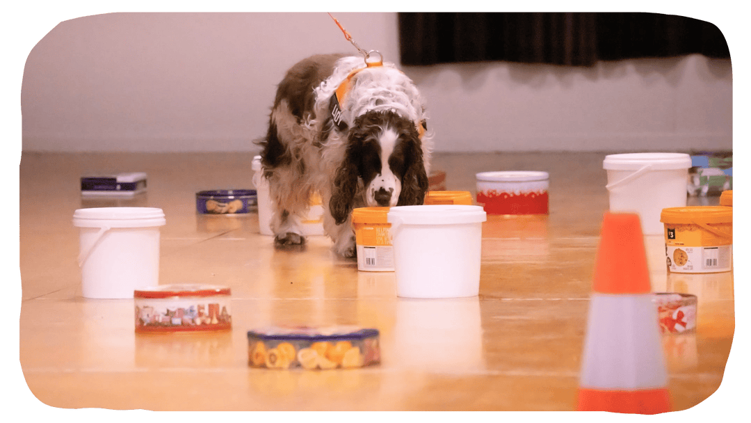 General Skills - Webinars