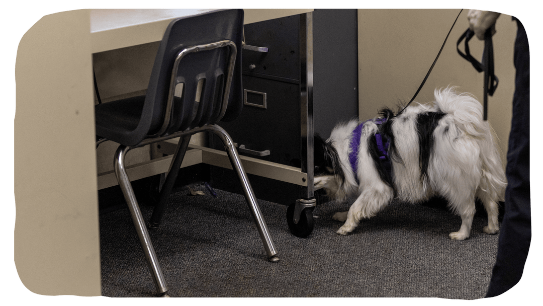 Intro to Odor Courses