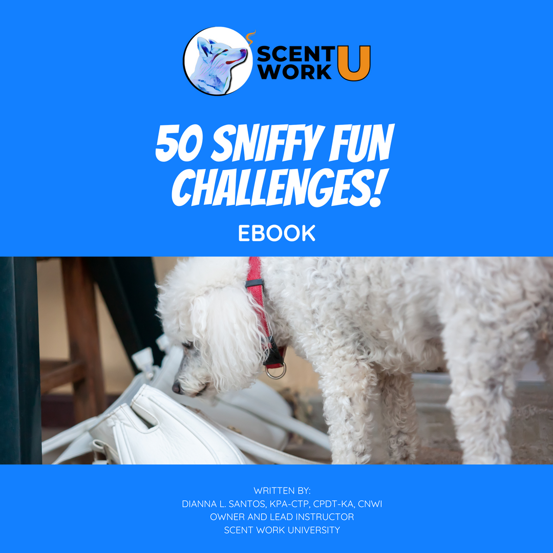 50 Sniffy Fun Challenges eBook