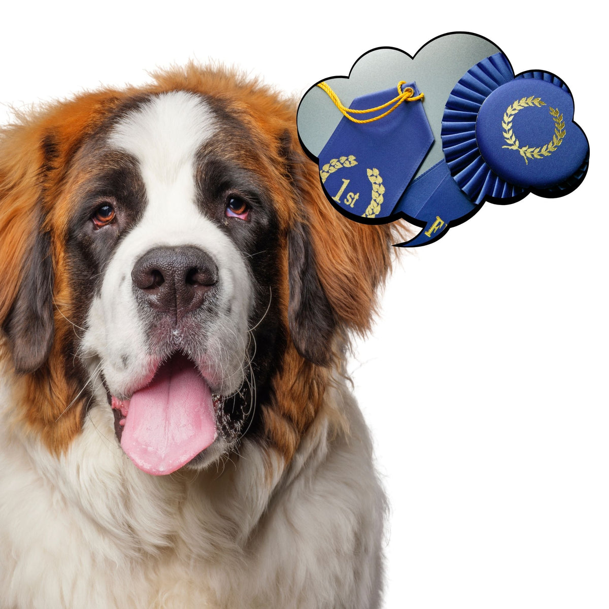 AKC Scent Work Program – Scent Work University