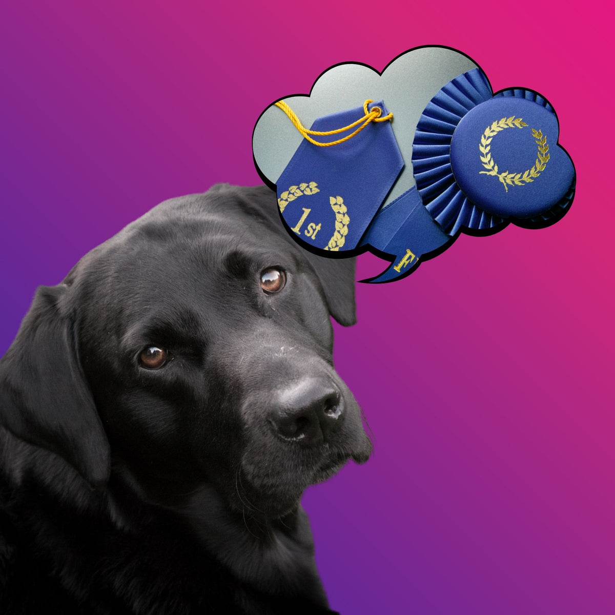 AKC Scent Work Program – Scent Work University