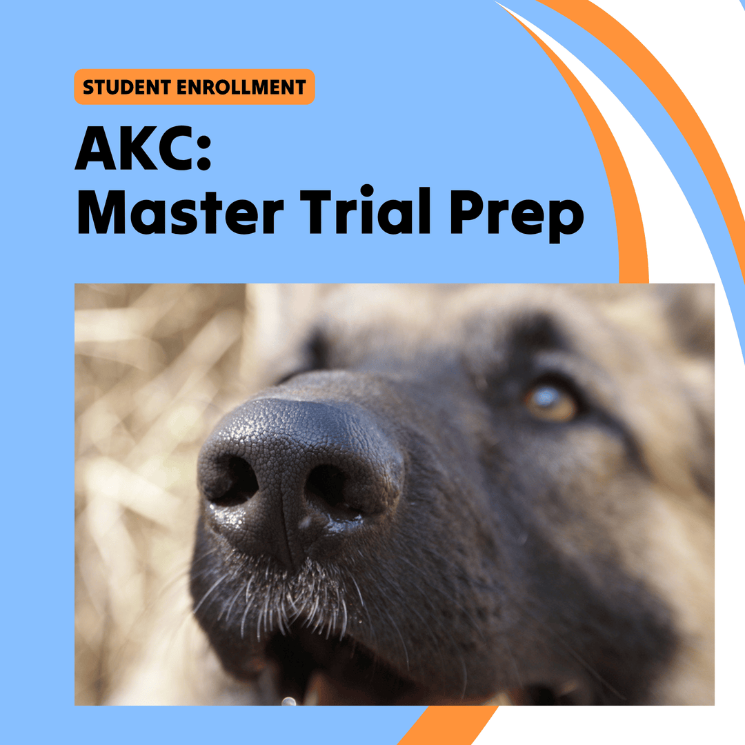 AKC Scent Work: Masters Trial Prep Course (Student)