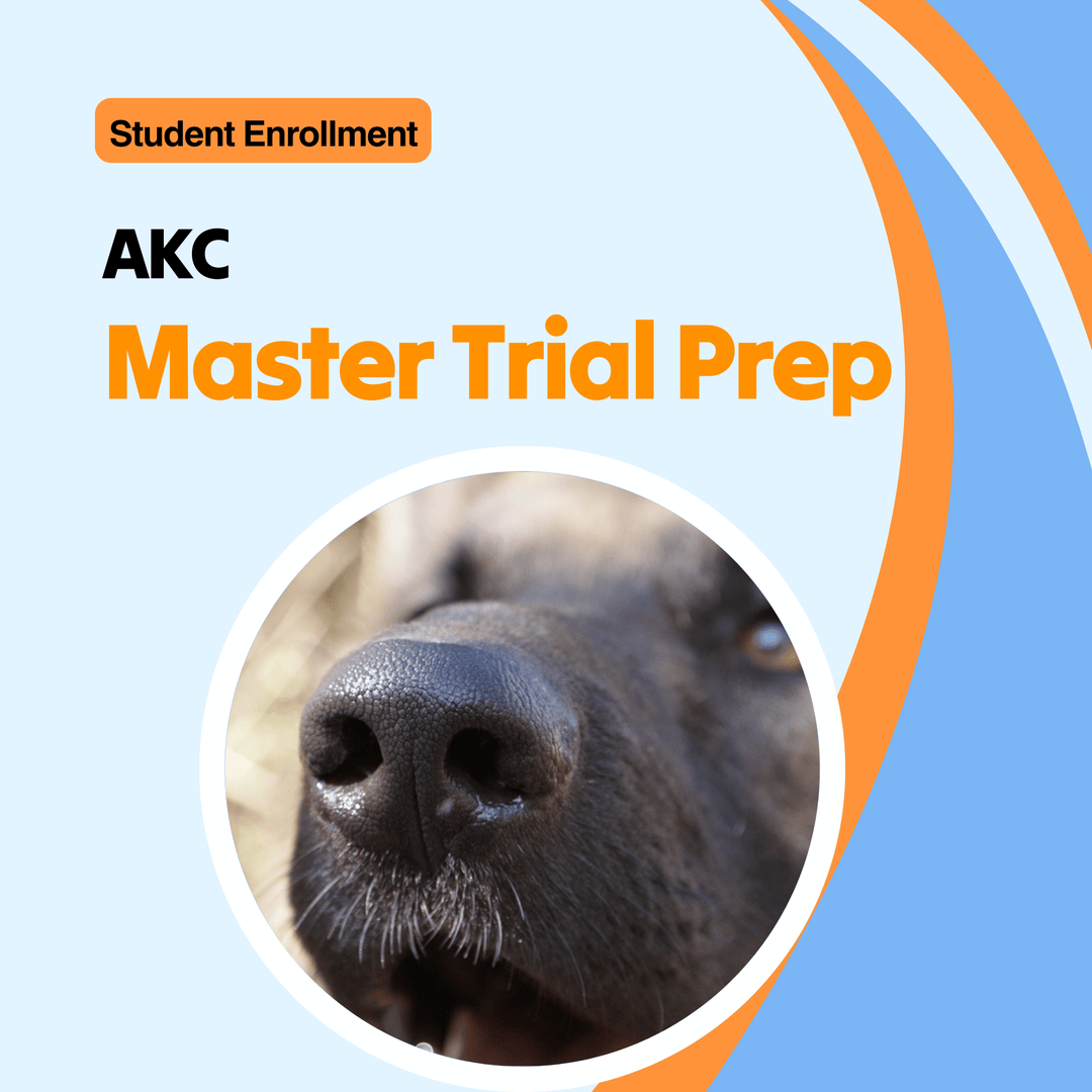 AKC Scent Work: Masters Trial Prep Course (Student)