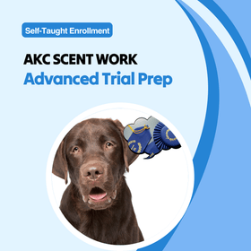AKC Scent Work Program – Scent Work University