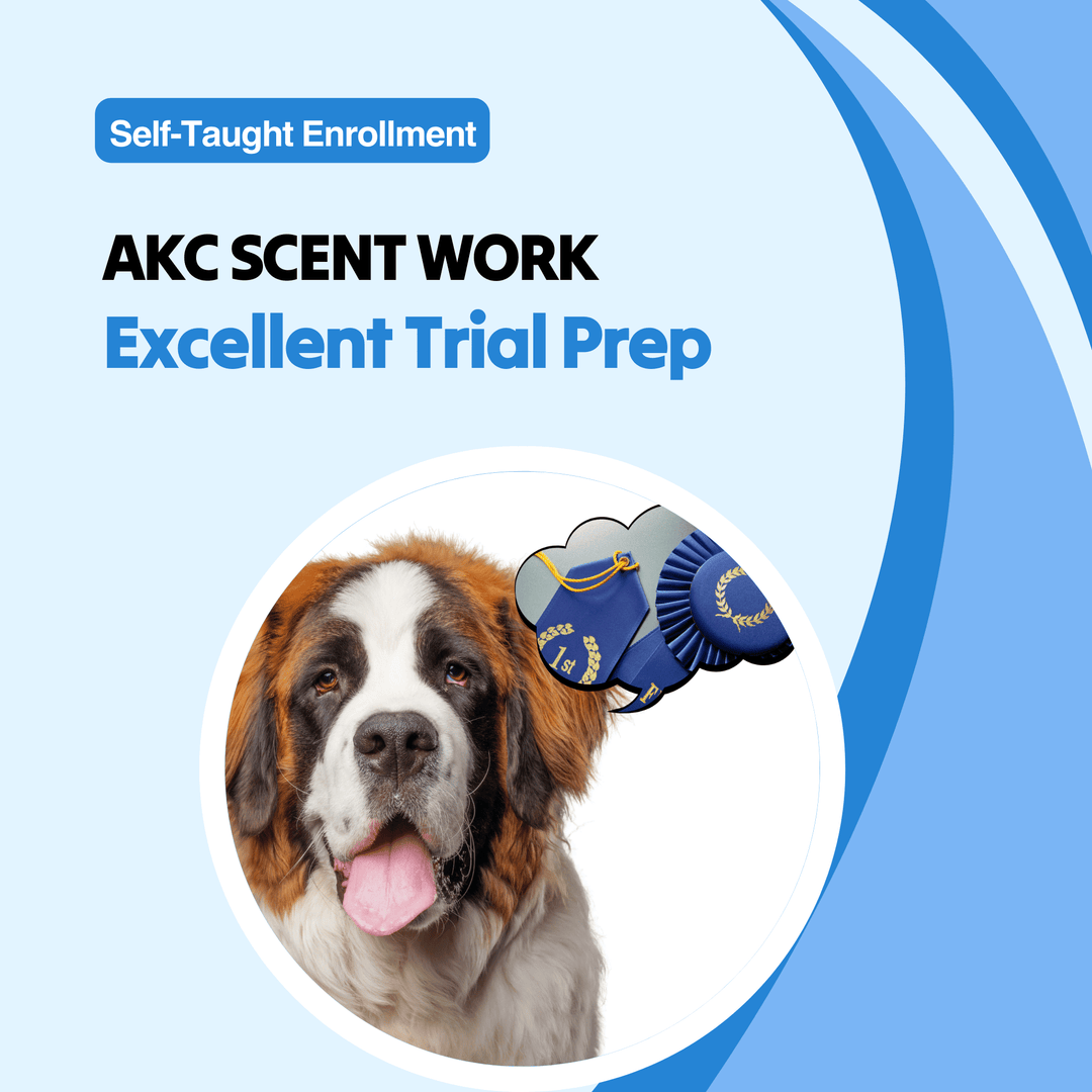AKC Scent Work: Excellent Trial Prep Course