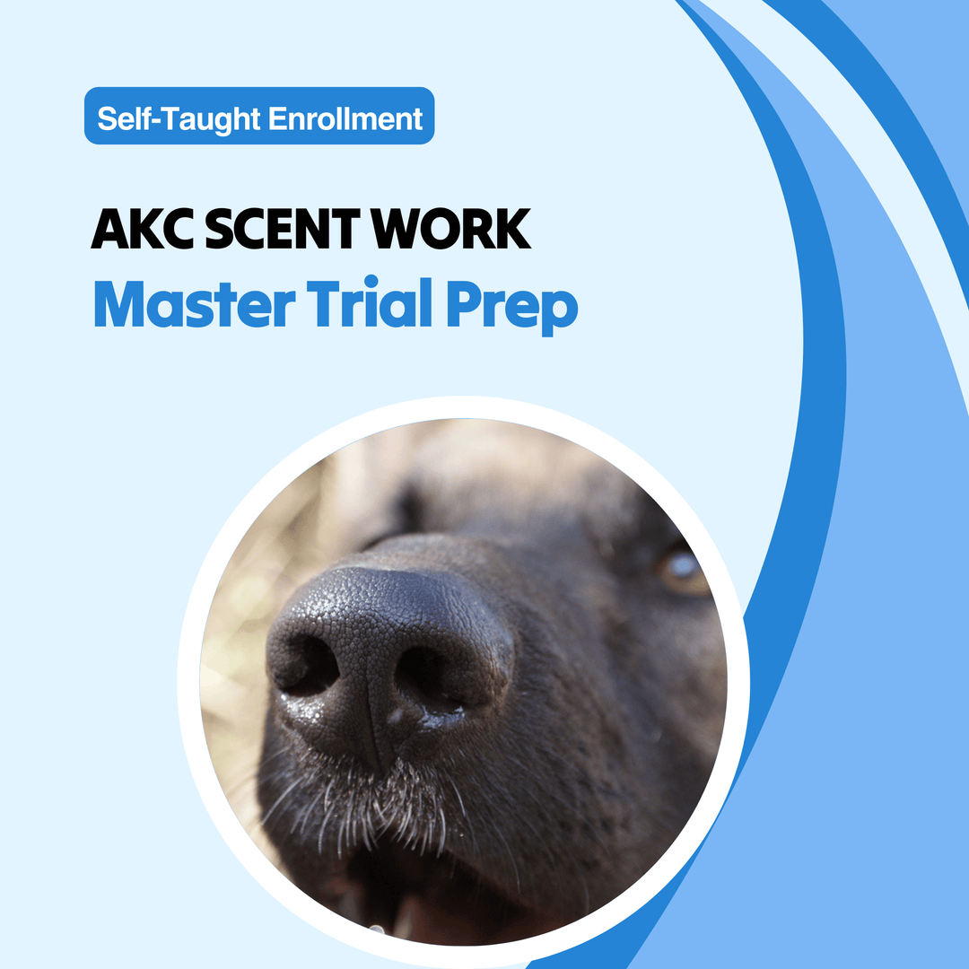 AKC Scent Work: Master Trial Prep Course