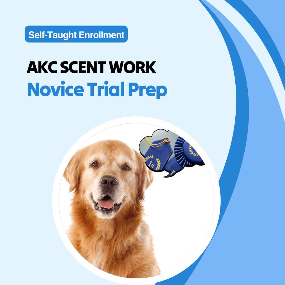 AKC Scent Work: Novice Trial Prep Course