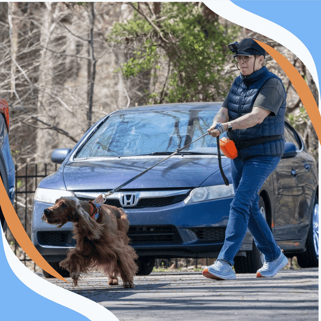 Advanced Supportive Handling: Who We Can Become for Our Dogs Webinar