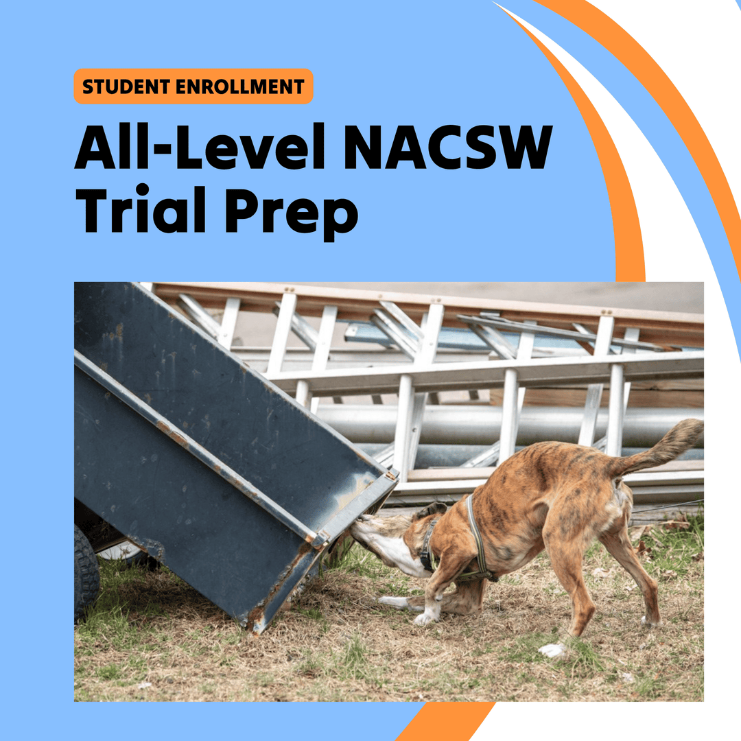 All-Level NACSW Trial Prep Course (Student)