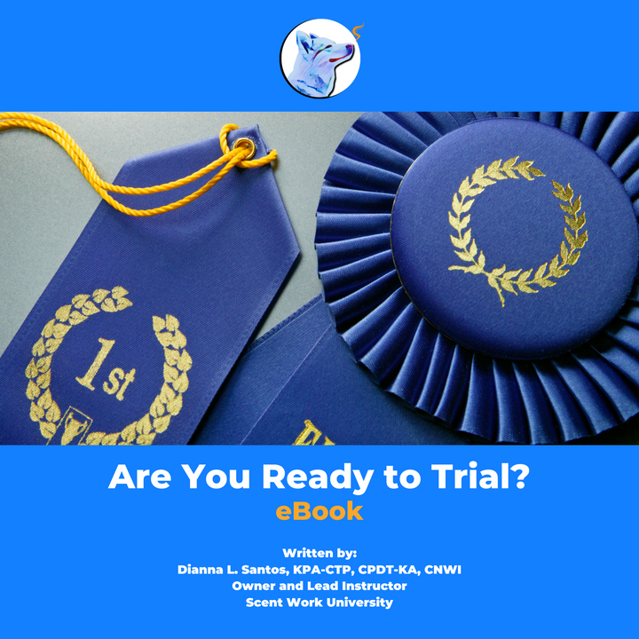 Are You Ready to Trial eBook
