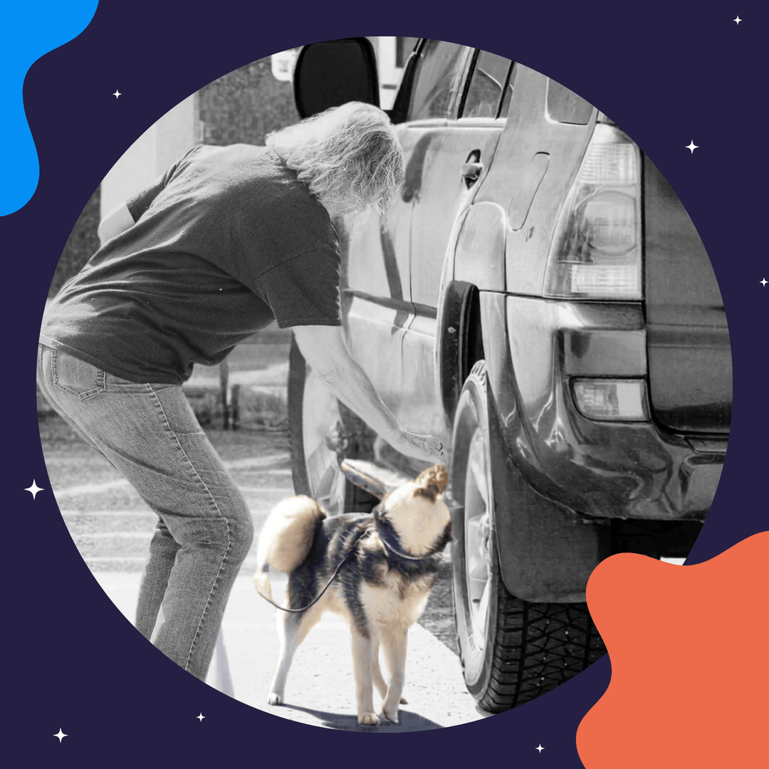Part 1 - Instructors: Assessing the Dog Seminar