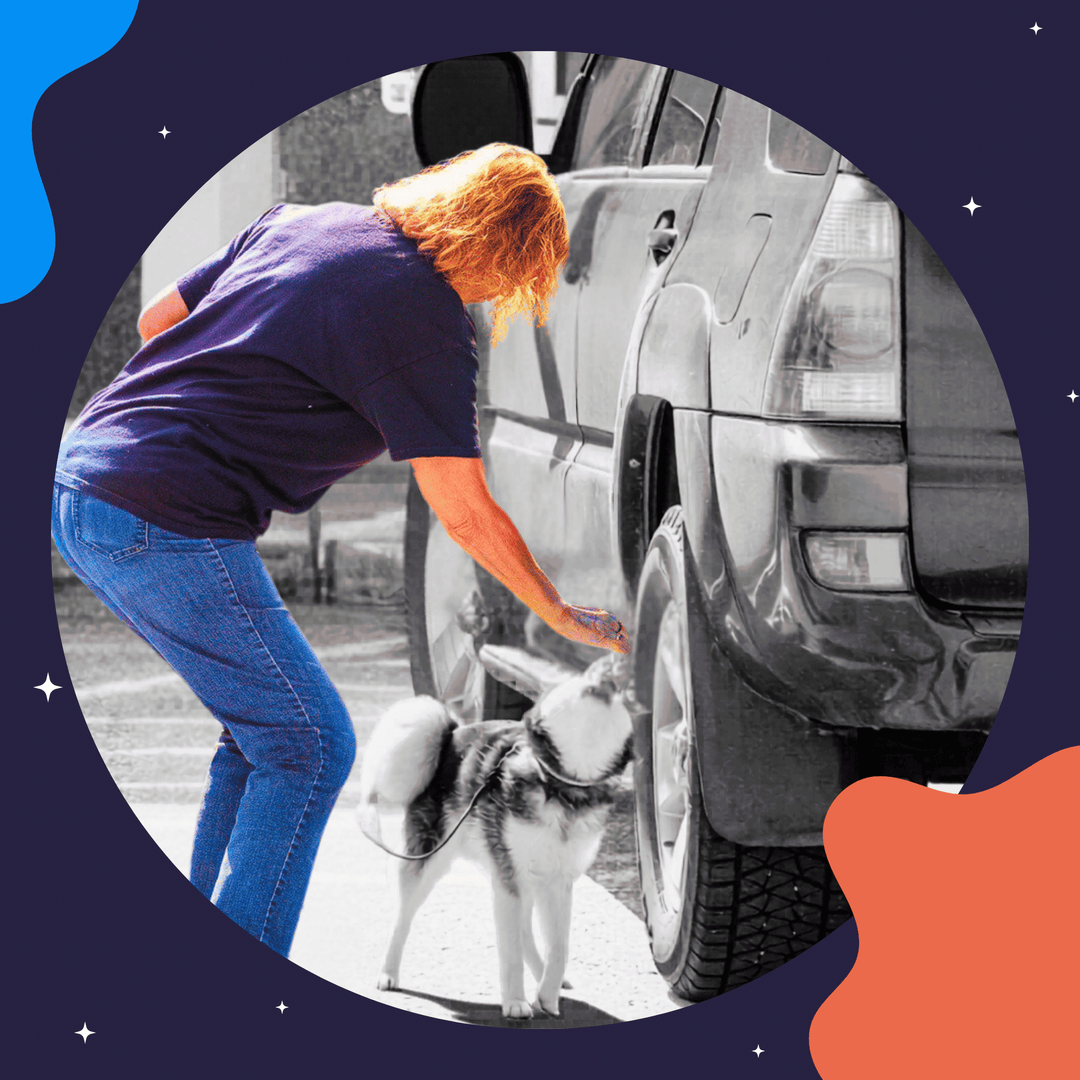Instructors: Assessing the Handler Module