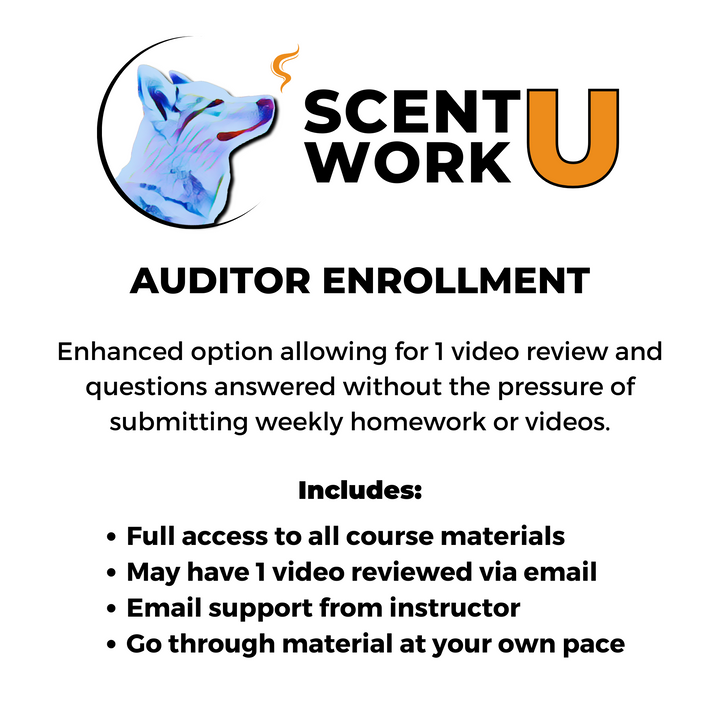 Introduction to Scent Work Course