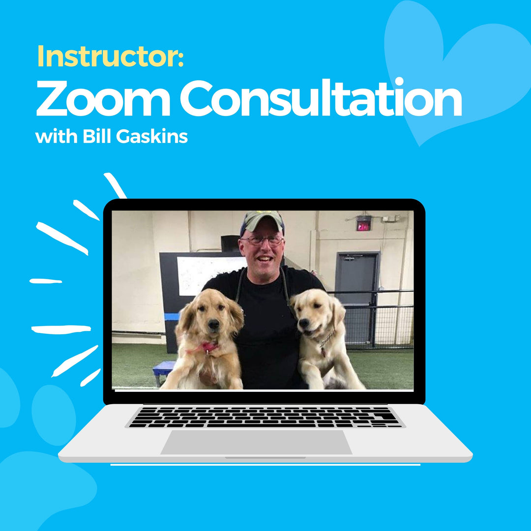 Instructor: Zoom Consultation with Bill Gaskins