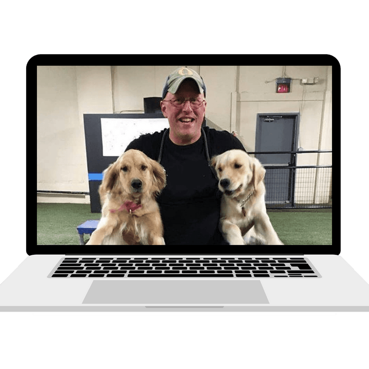 Scent Work Zoom Consultation: Bill Gaskins