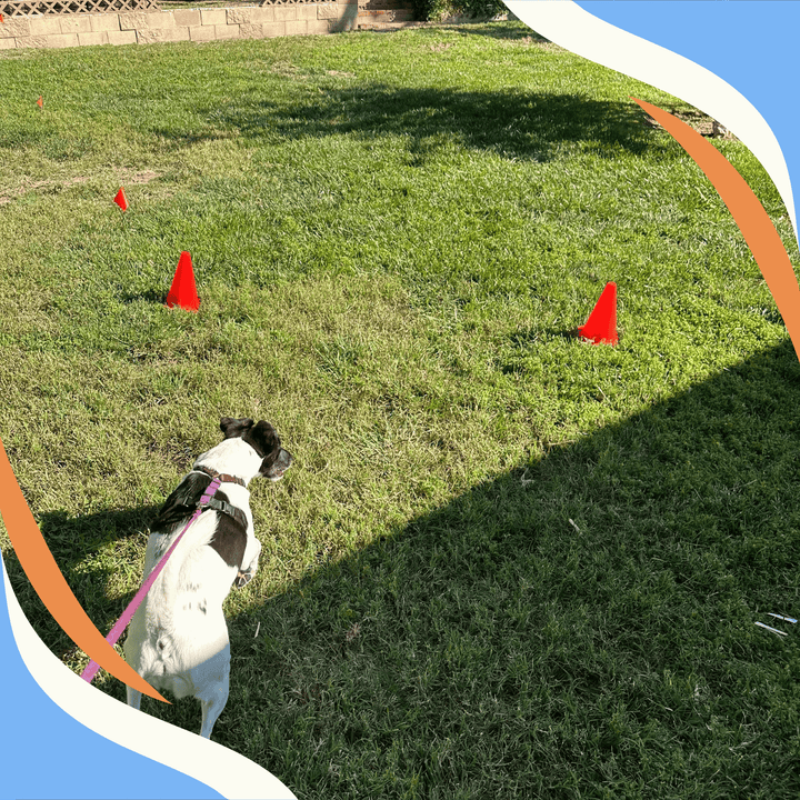 Boundaries: From Start Lines to Flags and Cones Webinar