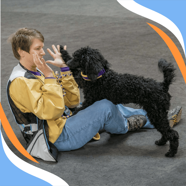 Broadened Horizons: Fun Skills Challenges for Well-Rounded Dogs Webinar