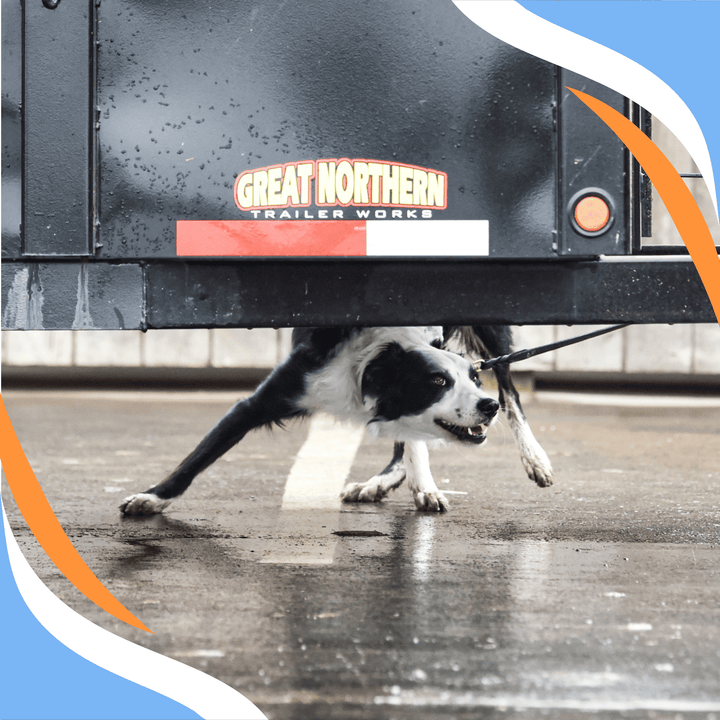 Building Blocks for Elite and Summit Webinar