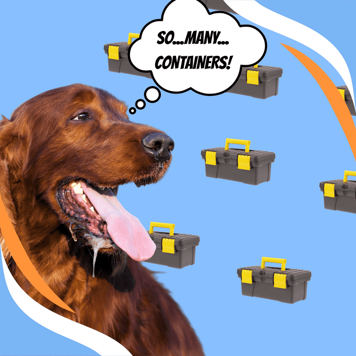 Building Endurance in Container Searches Webinar