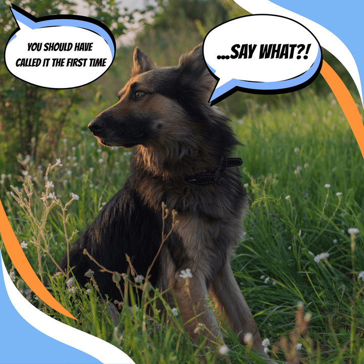 But the Judge Said Webinar