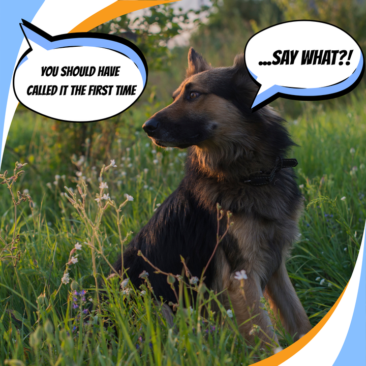 But the Judge Said Webinar