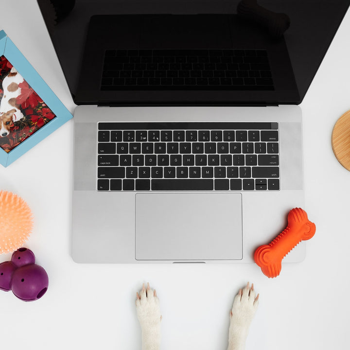 CSW: Guide for Instructors Webinar