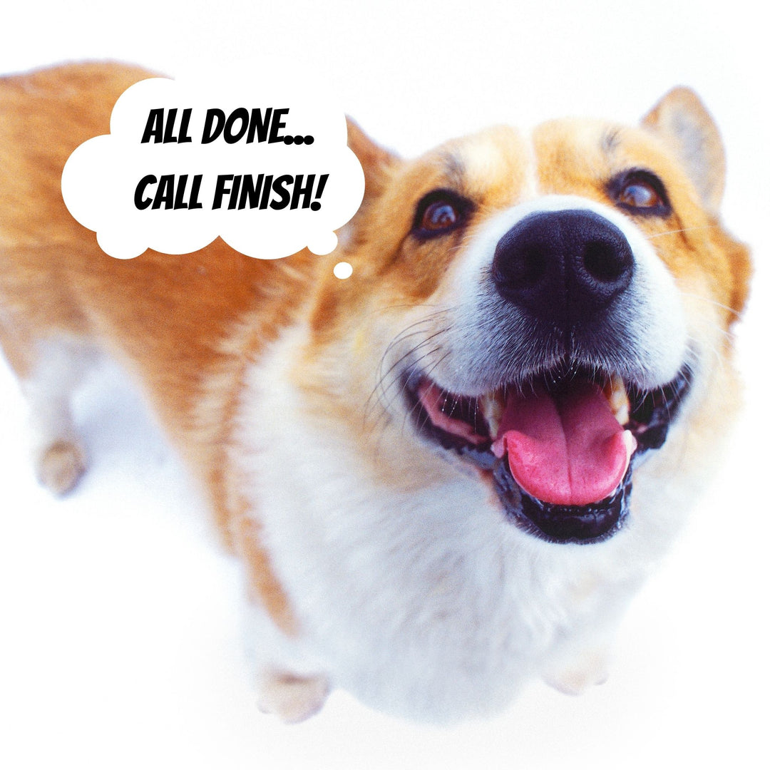 Call Finish: Clearing Your Nosework Search Areas Webinar